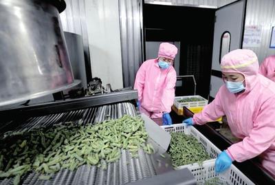 資本入局，電商煥新 生態(tài)循環(huán)農(nóng)業(yè)與農(nóng)村電商共繪鄉(xiāng)村振興新圖景