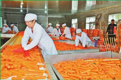 從沃土到市場(chǎng) 雙鴨山苗木產(chǎn)業(yè)如何實(shí)現(xiàn)“種得好”與“賣(mài)得好”的共贏